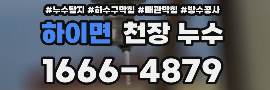 하이면 천장 누수