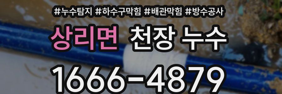 상리면 천장 누수