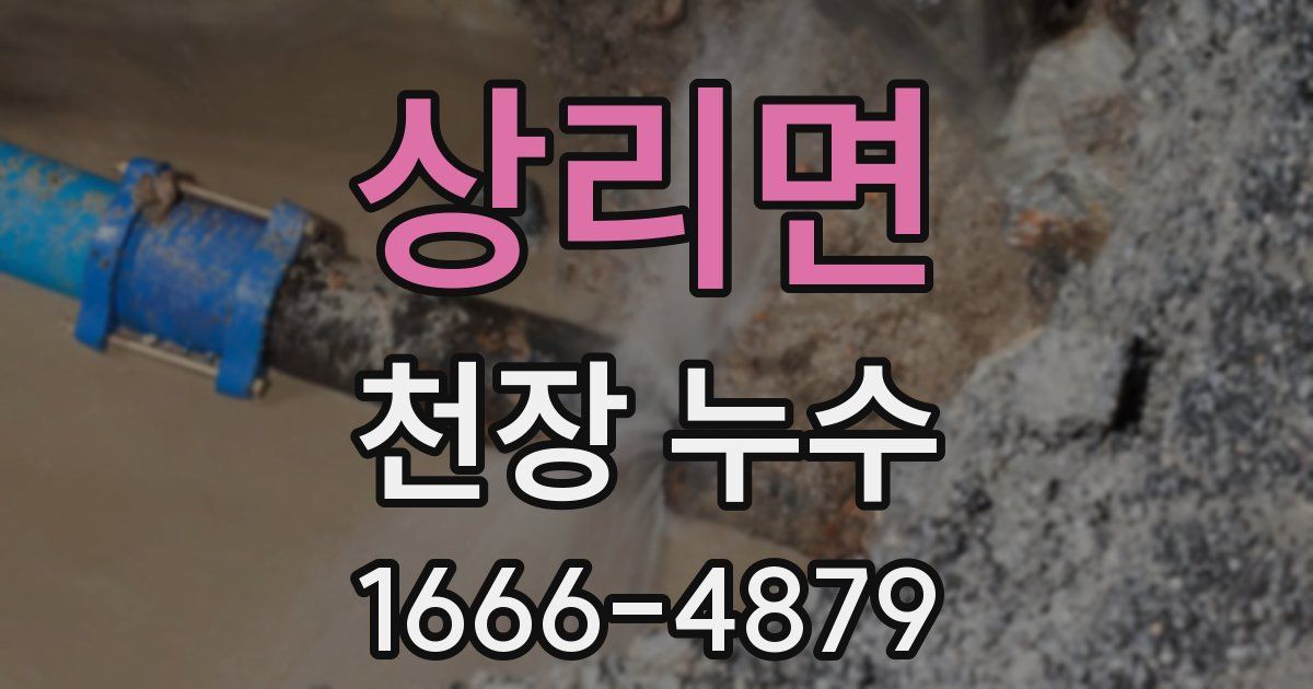 상리면 천장 누수