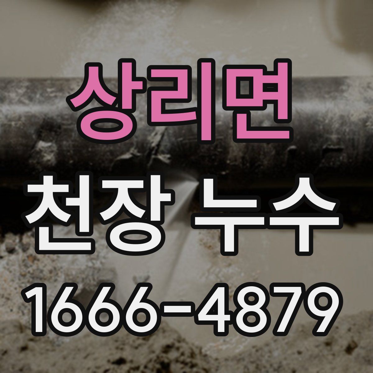 상리면 천장 누수