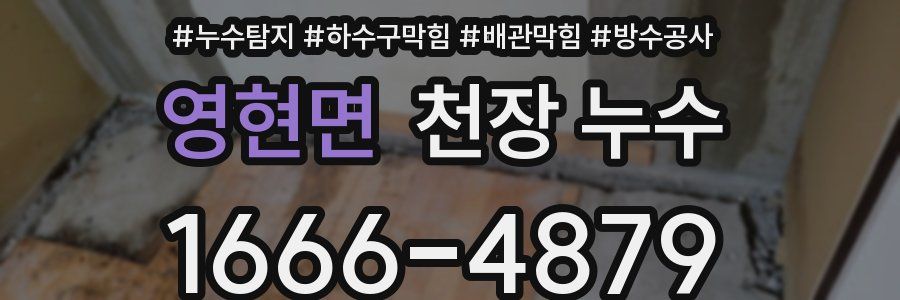 영현면 천장 누수