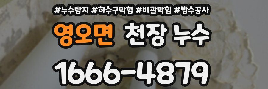 영오면 천장 누수