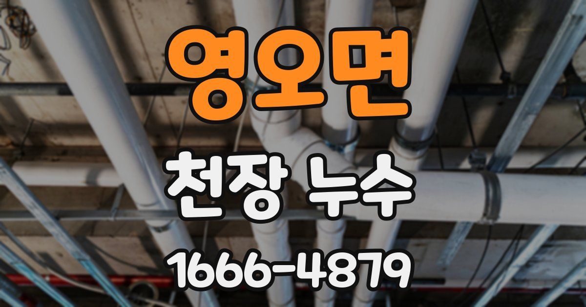 영오면 천장 누수