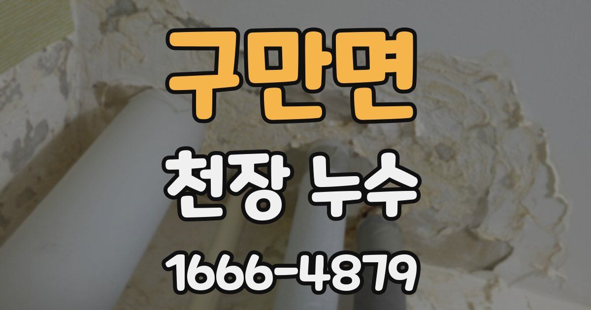 구만면 천장 누수