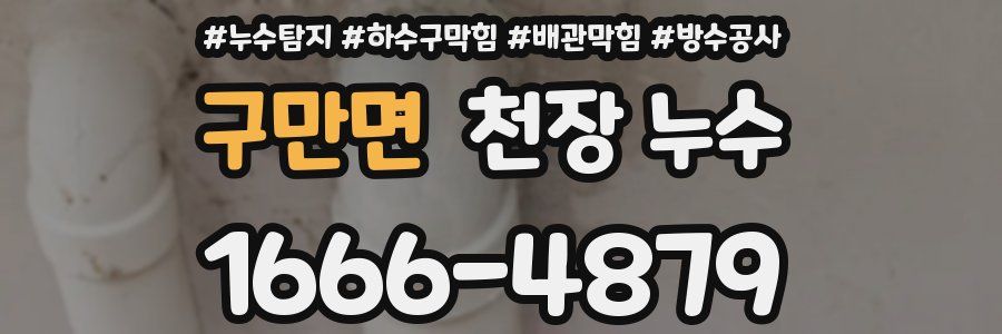 구만면 천장 누수