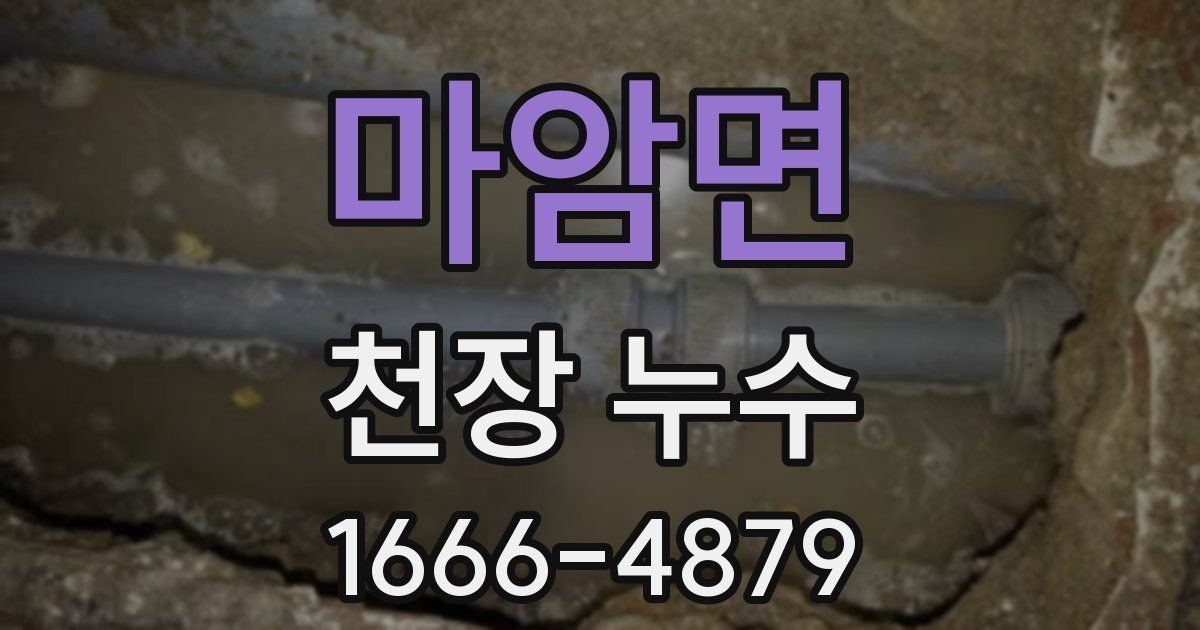 마암면 천장 누수