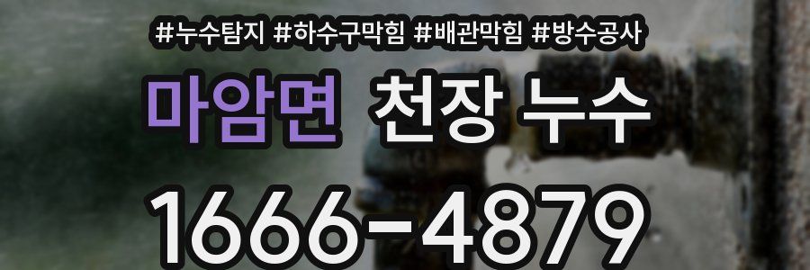 마암면 천장 누수