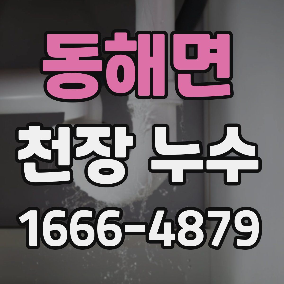 동해면 천장 누수