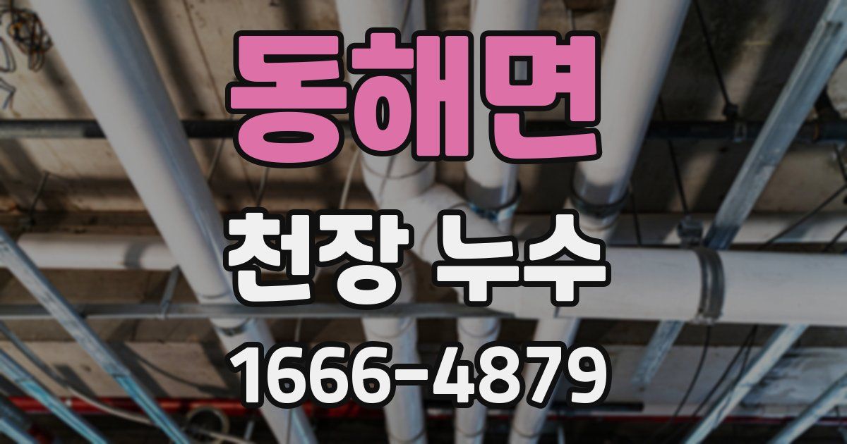 동해면 천장 누수