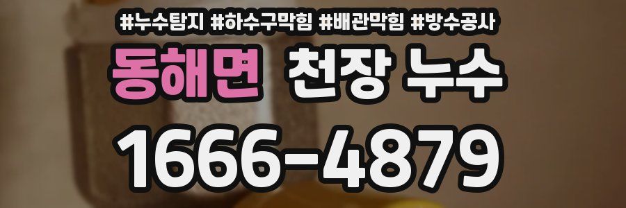 동해면 천장 누수