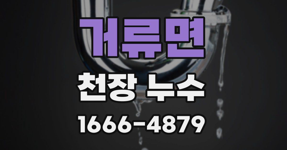 거류면 천장 누수