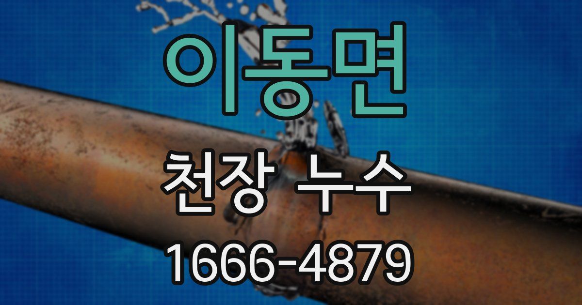 이동면 천장 누수
