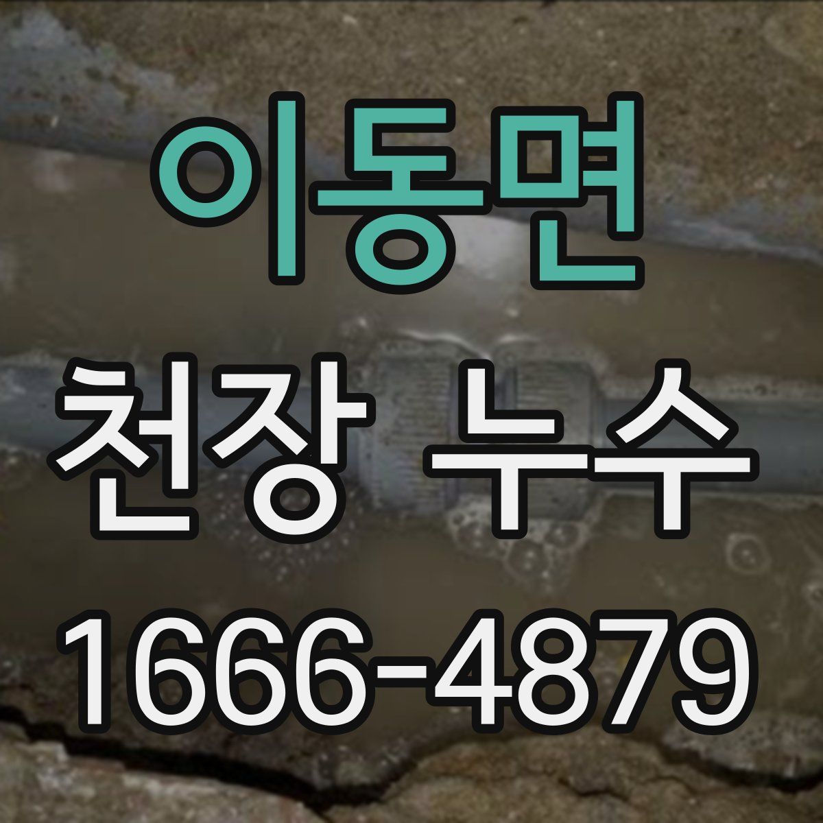 이동면 천장 누수