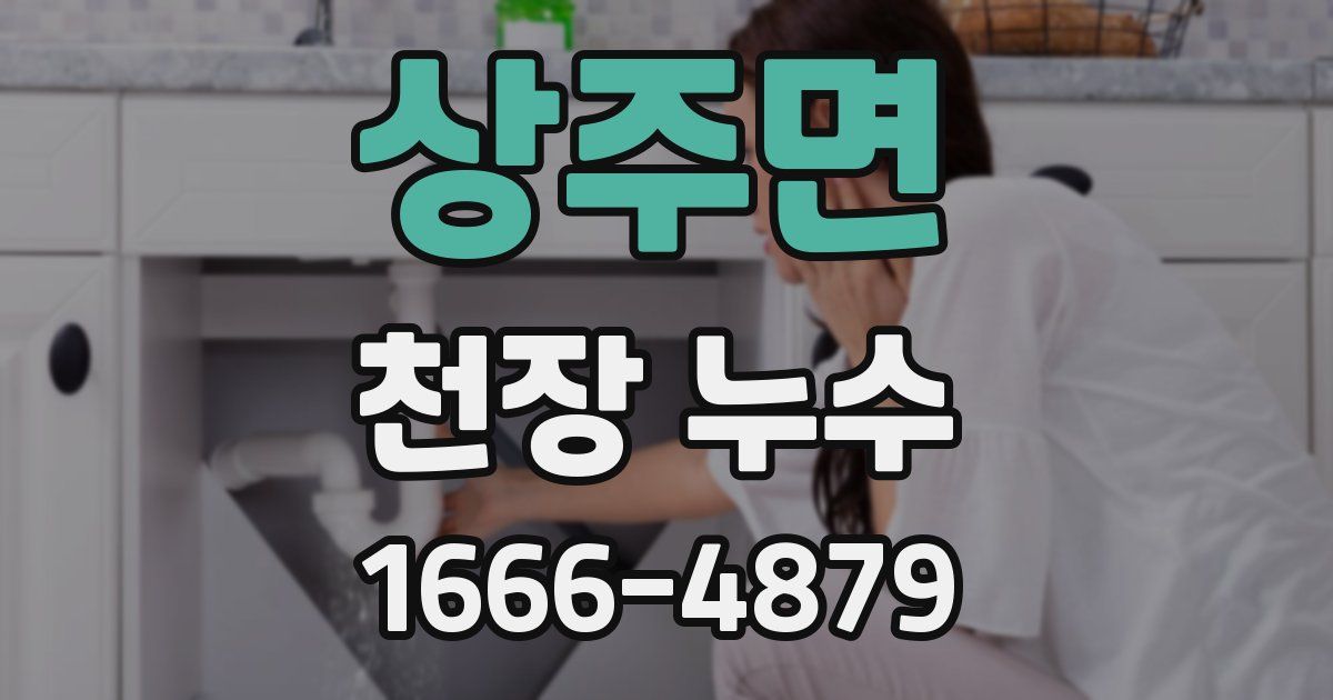 상주면 천장 누수
