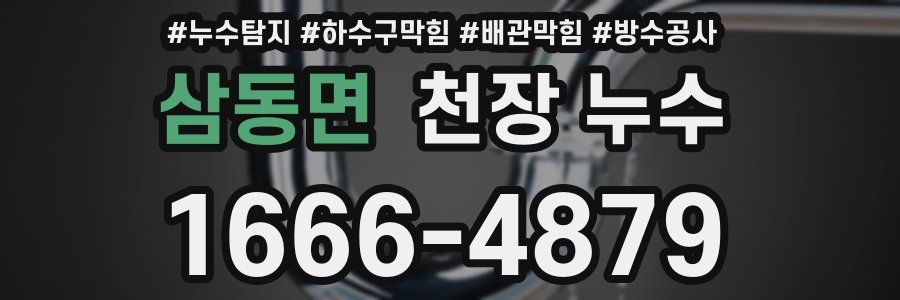 삼동면 천장 누수