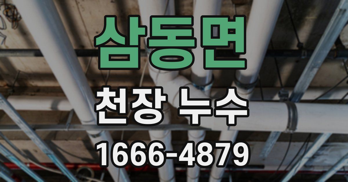 삼동면 천장 누수