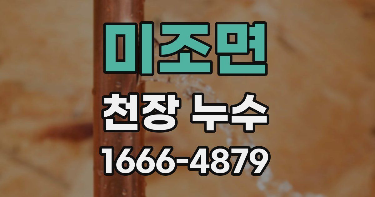 미조면 천장 누수