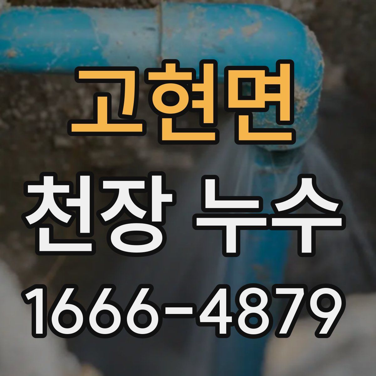 고현면 천장 누수