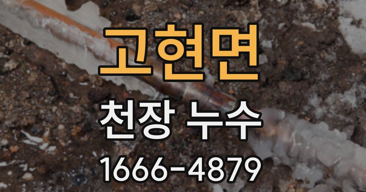 고현면 천장 누수