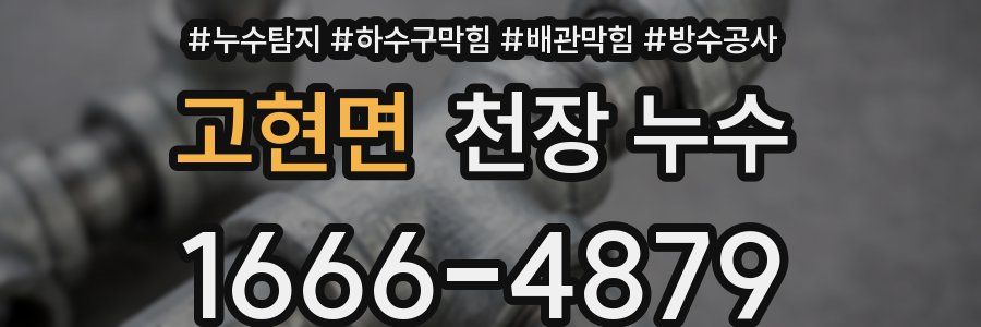 고현면 천장 누수