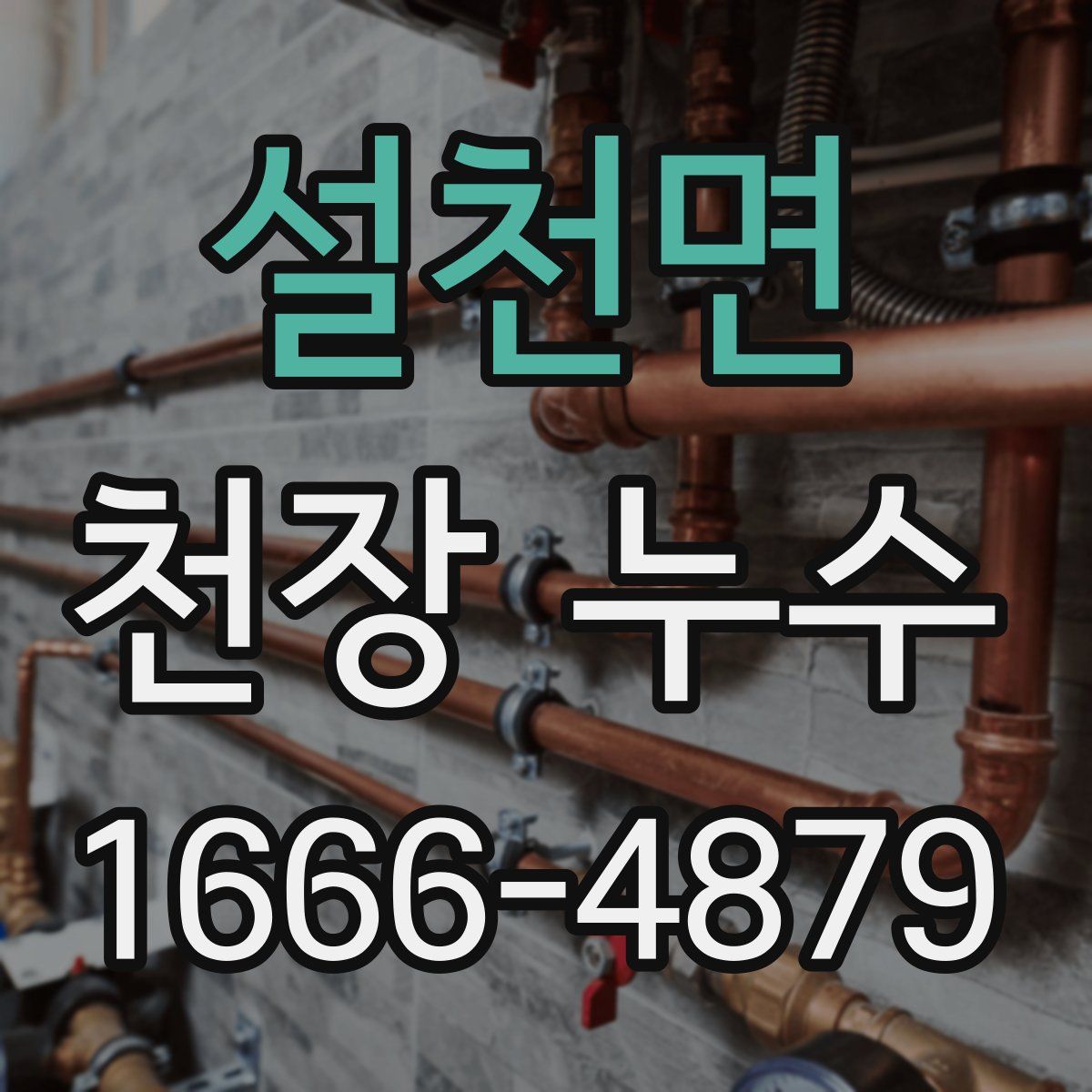 설천면 천장 누수