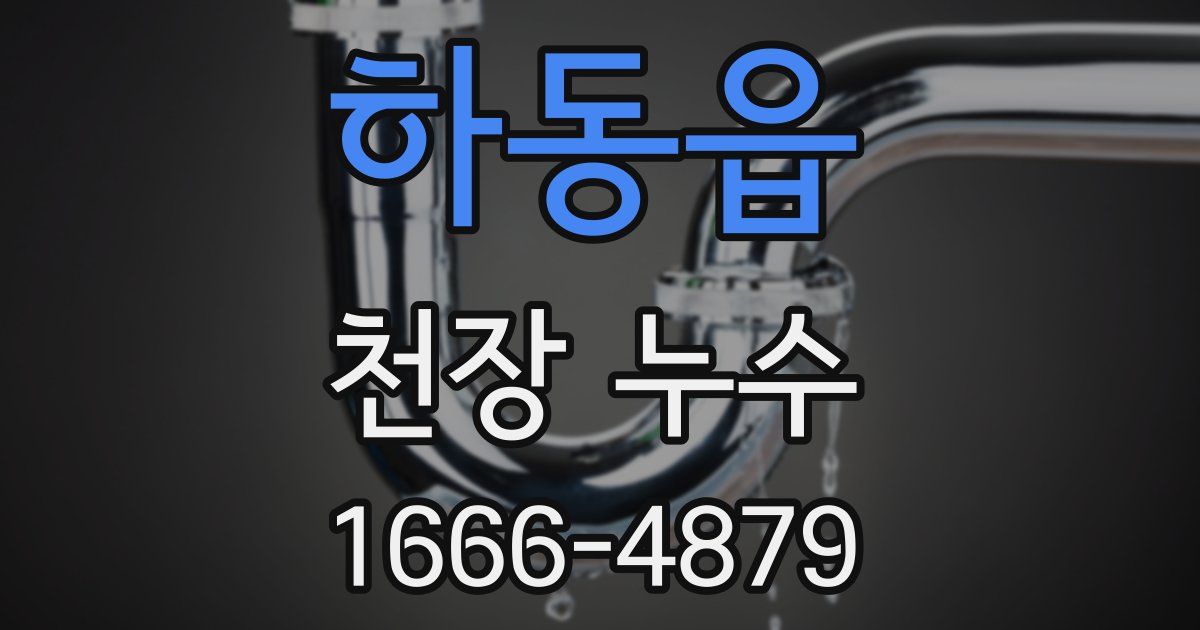 하동읍 천장 누수