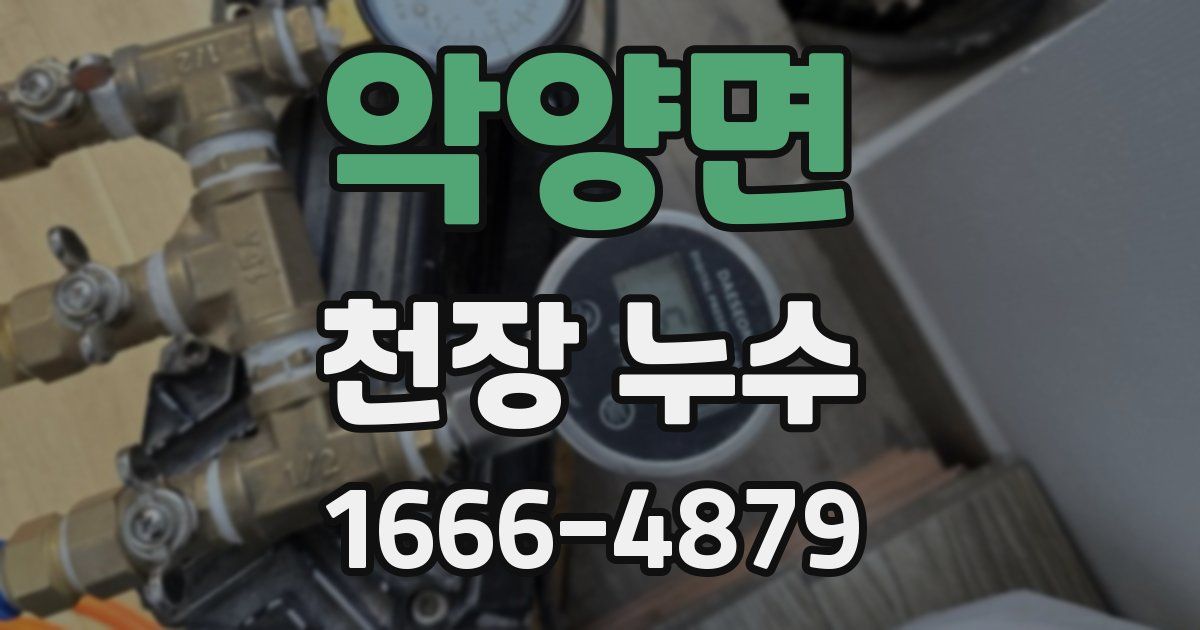 악양면 천장 누수