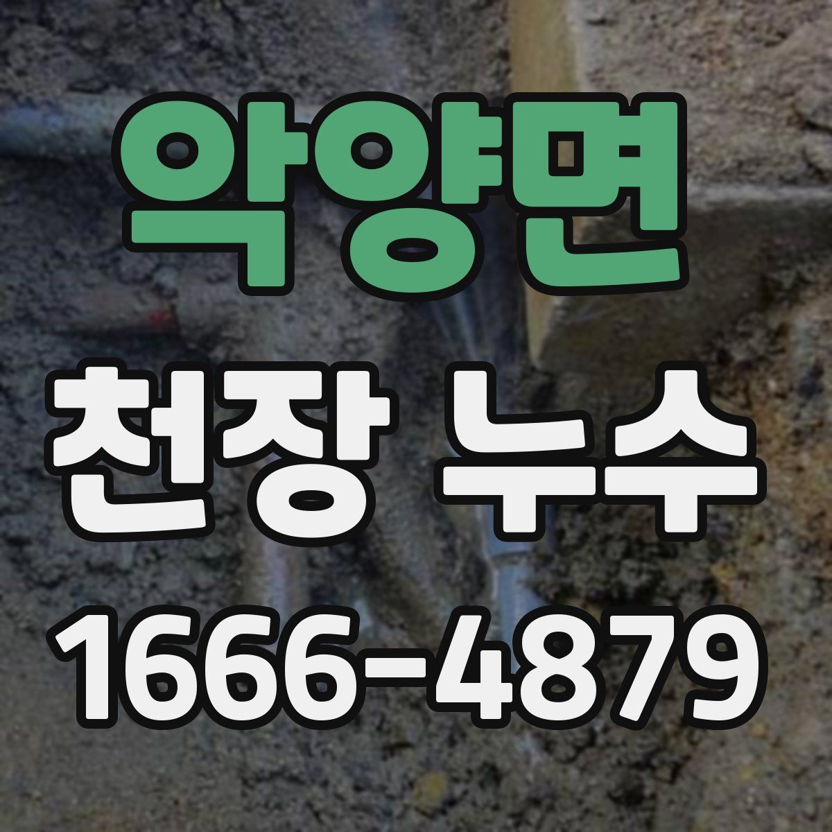 악양면 천장 누수