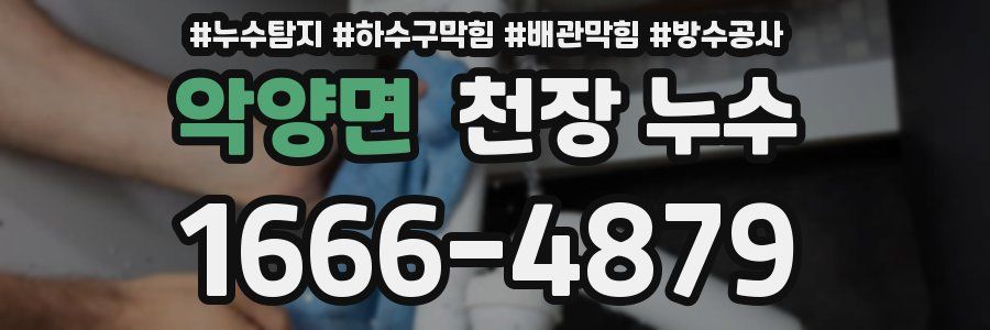 악양면 천장 누수