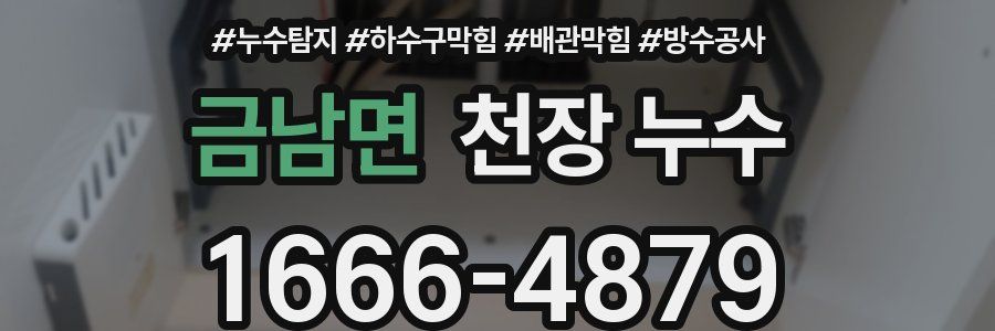 금남면 천장 누수