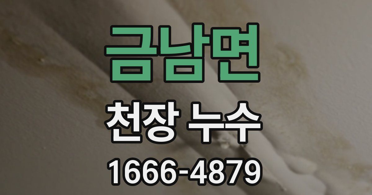 금남면 천장 누수