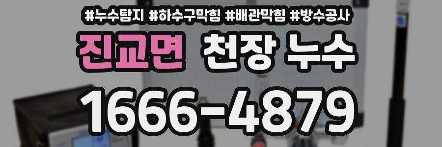 진교면 천장 누수