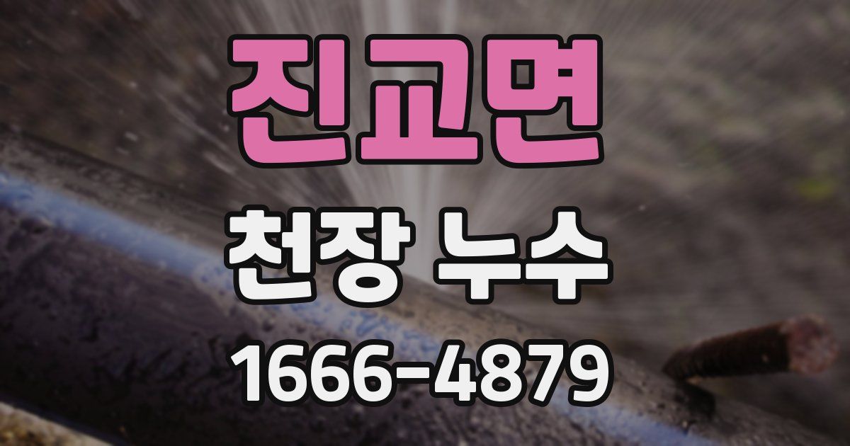 진교면 천장 누수