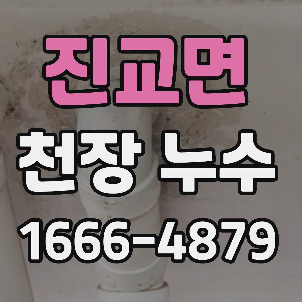진교면 천장 누수