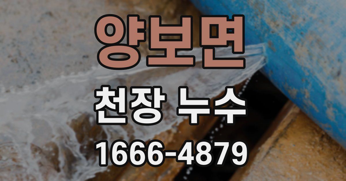 양보면 천장 누수