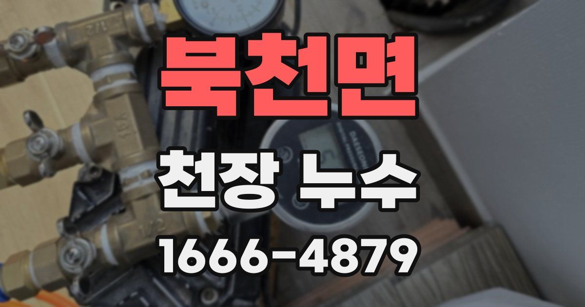북천면 천장 누수