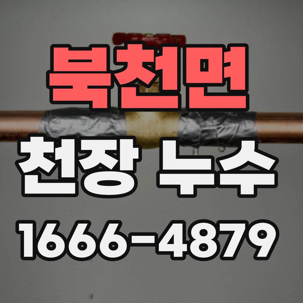 북천면 천장 누수