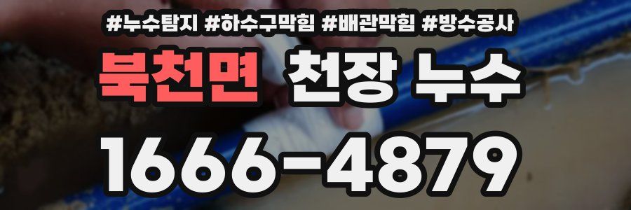 북천면 천장 누수