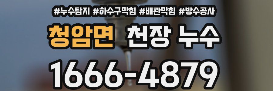 청암면 천장 누수