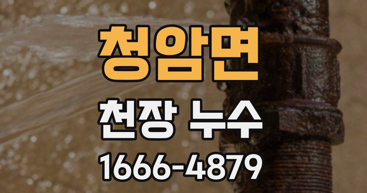 청암면 천장 누수