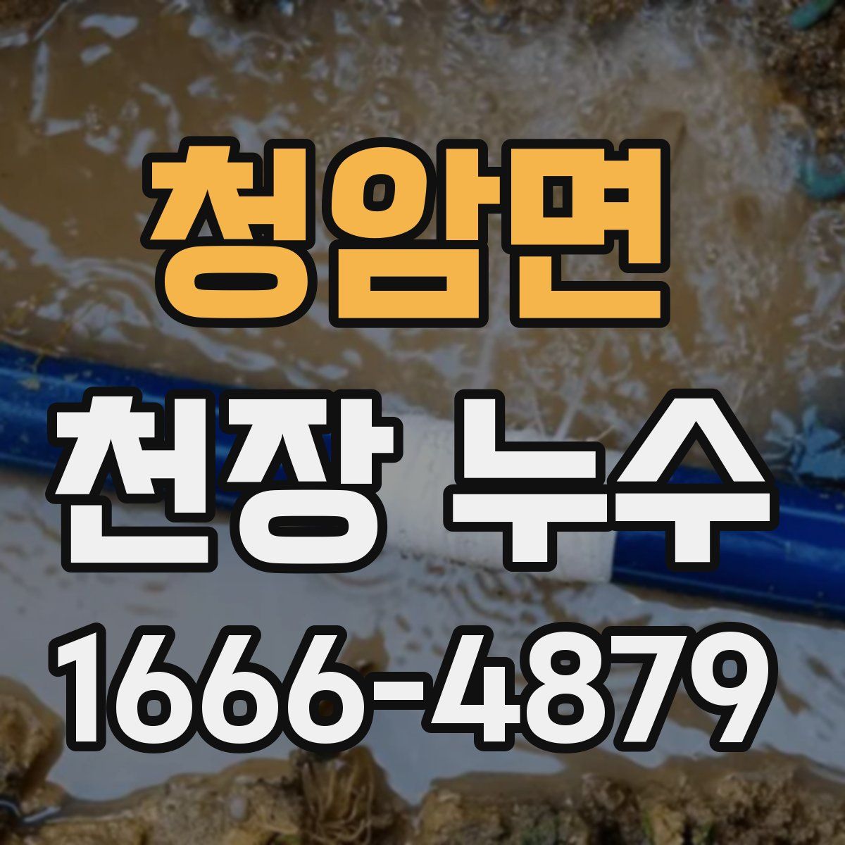 청암면 천장 누수