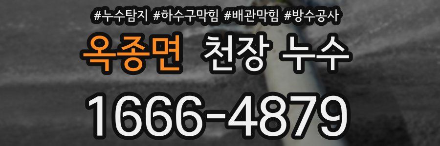 옥종면 천장 누수