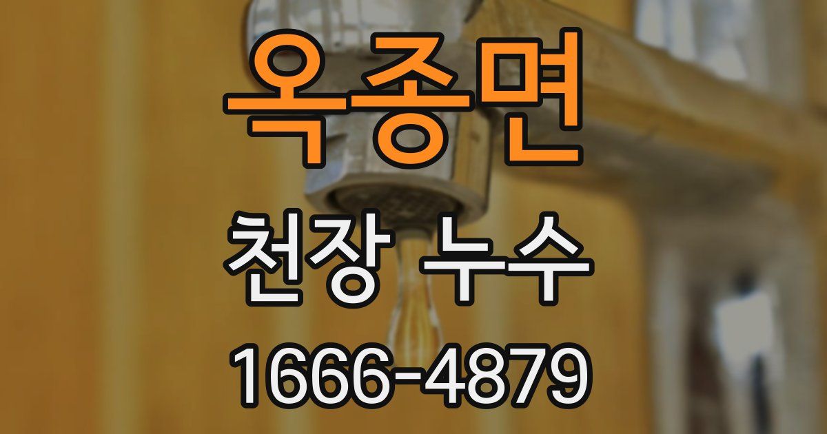옥종면 천장 누수