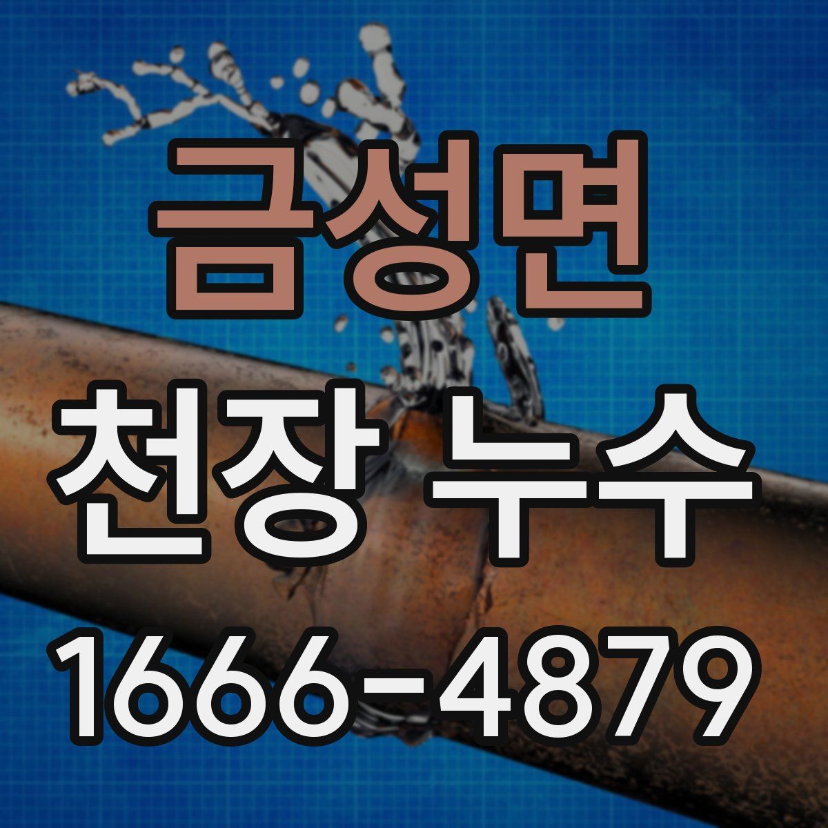 금성면 천장 누수