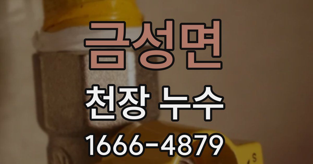 금성면 천장 누수