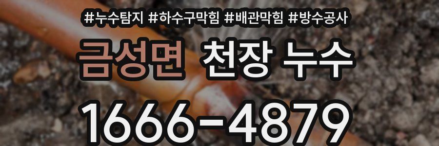 금성면 천장 누수