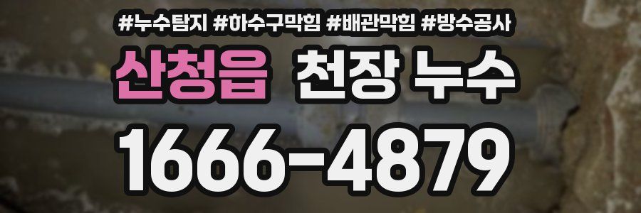 산청읍 천장 누수