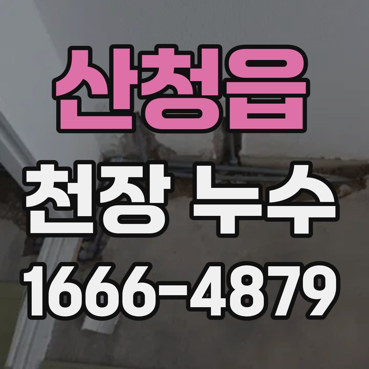 산청읍 천장 누수