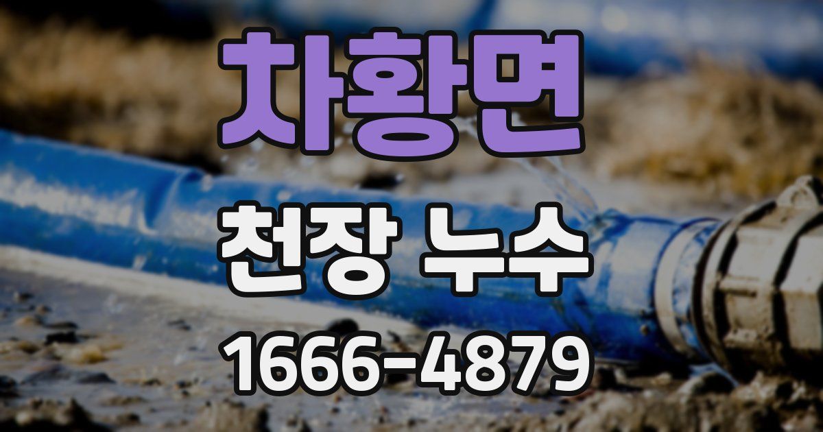 차황면 천장 누수