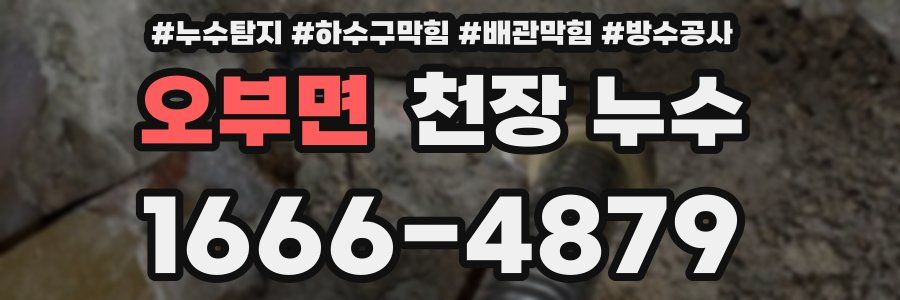 오부면 천장 누수